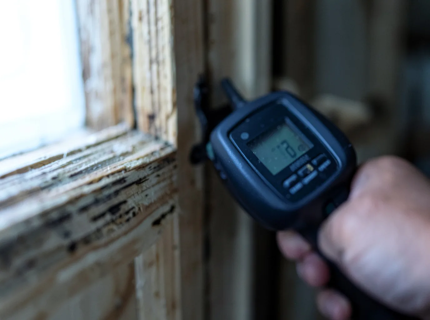Commercial Water Damage Restoration in Wexford, PA